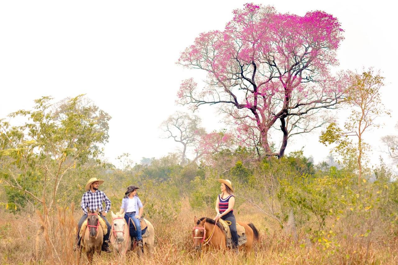 Hotel Pantanal Mato Grosso Poconé المظهر الخارجي الصورة